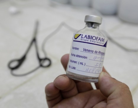 A technician shows a samples of scorpion's poison at Labiofam Laboratories in Santa Clara, Villa clara province in central Cuba, around 280 km (175 miles) from Havana