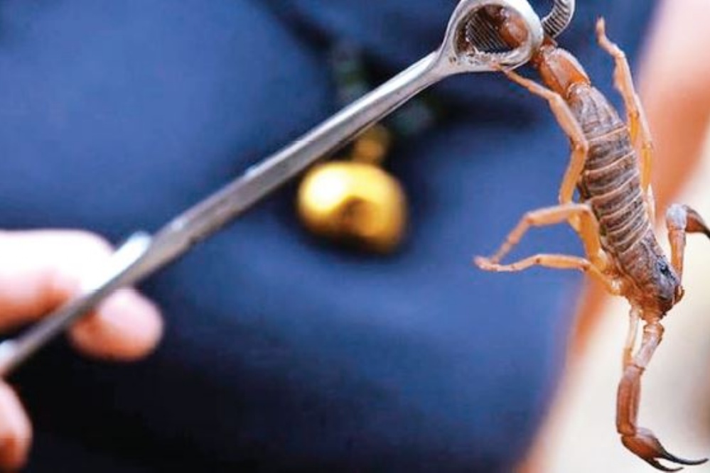 f999x666-20705_115770_0