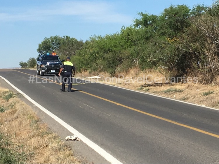 WhatsApp Image 2018-03-19 at 13.41.03