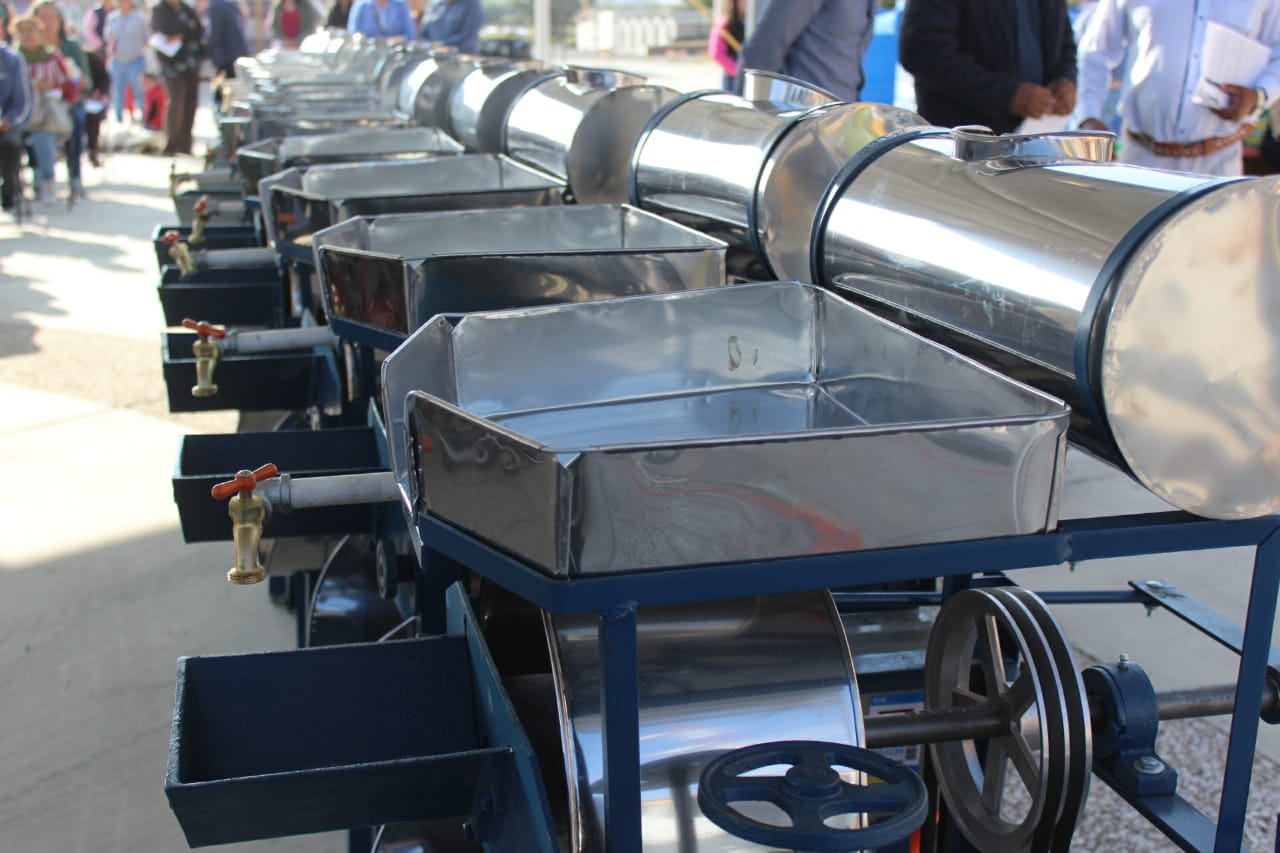 Molinos y árboles 5