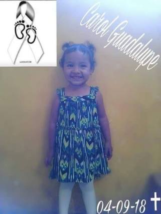 41029659_1858717794242462_6181116000948191232_n